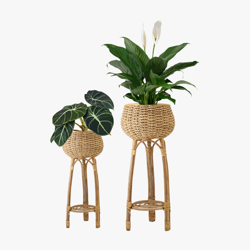 Plant Holders Natural Material